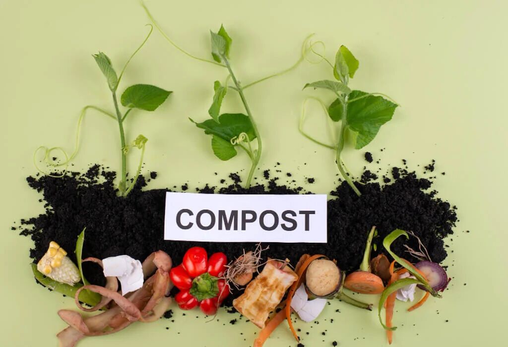 What is Compostable? Understanding Compostable Materials and Their Environmental Impact